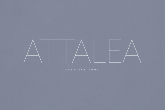 Attalea: A Modern Sans Serif Font for Makers