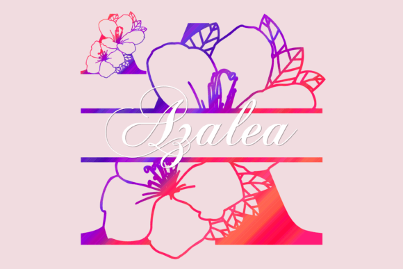 Azalea Split: The Decorative Font That Elevates Campaigns