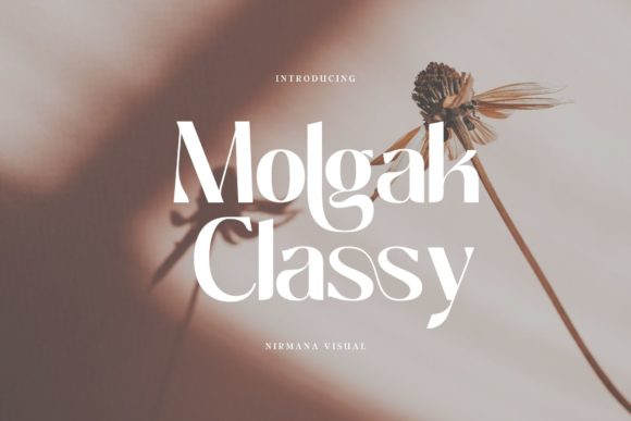 Molgak Classy: The Sans Serif Font for Clear Campaigns