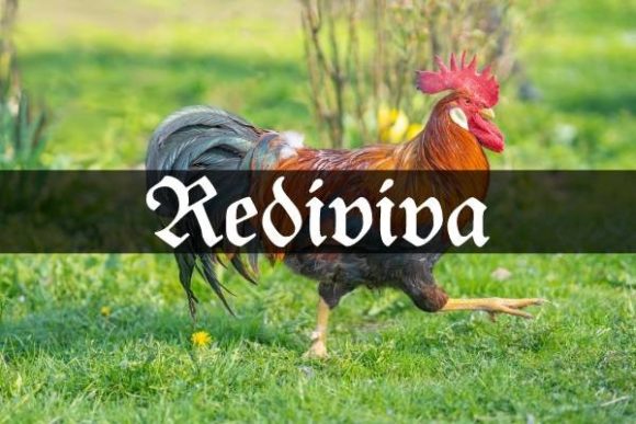 Rediviva: A Blackletter Font for Editorial Impact