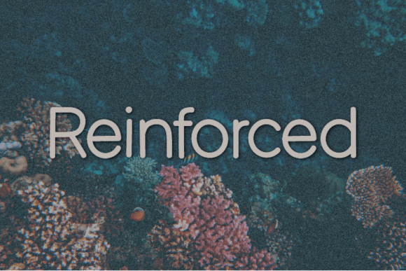 Reinforced Typeface: Elevate Your Brand Identity